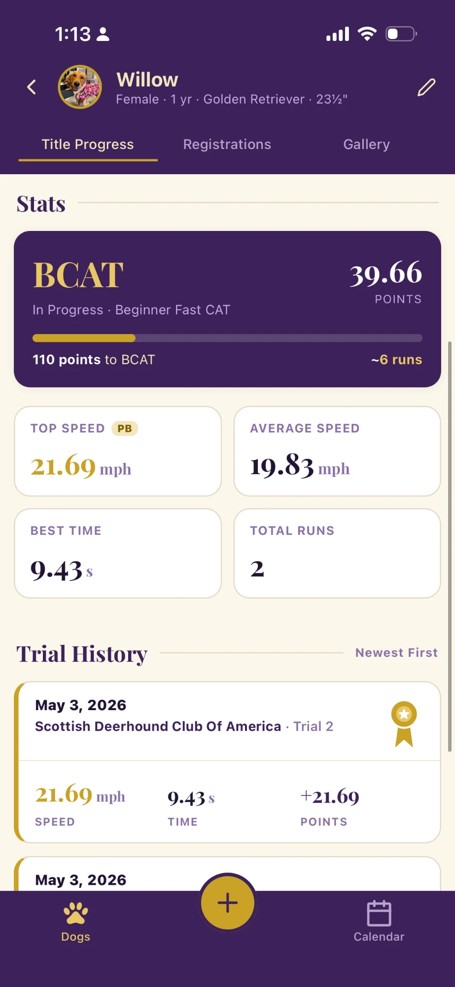 Rosett.io Fast CAT stats screen showing speed and run history